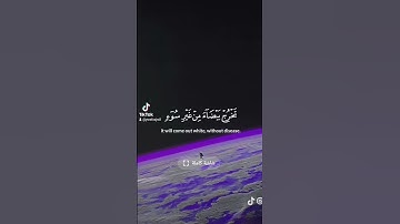 #اكتب_شي_تؤجر_عليه #القرآن_الكريم #تلاوة_خاشعة #راحة_نفسية #اصبر