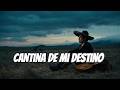 La Ranchera Más Triste 💔 Cantina de Mi Destino | Canción Que Hace Llorar al Corazón
