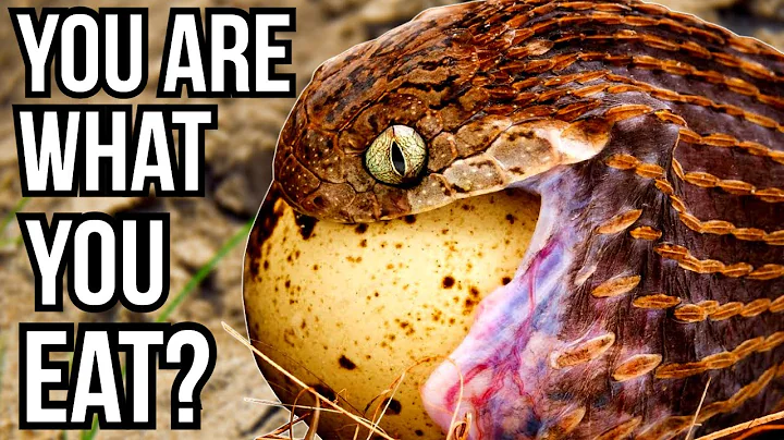 6 Animals That Are Named After What They Eat