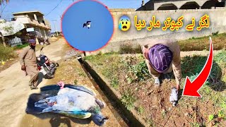 Zalim Lagar🦅 Ne Gardan Kat K Zmeeno Me Gira Diya 😰