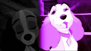 Animash // Oh No! // Marina and the Diamonds