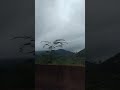 3 de fevereiro de 2025