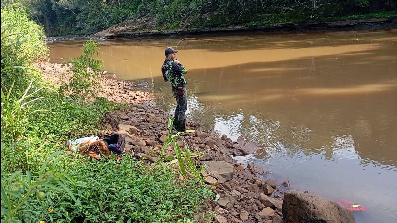 Muito peixe na linha 