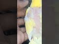 HAmza Birds setup lovebirds breeding progress update #hamzabirds #shorts #lovebirds #lalukhet