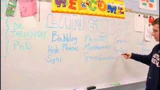Building Blocks of Language