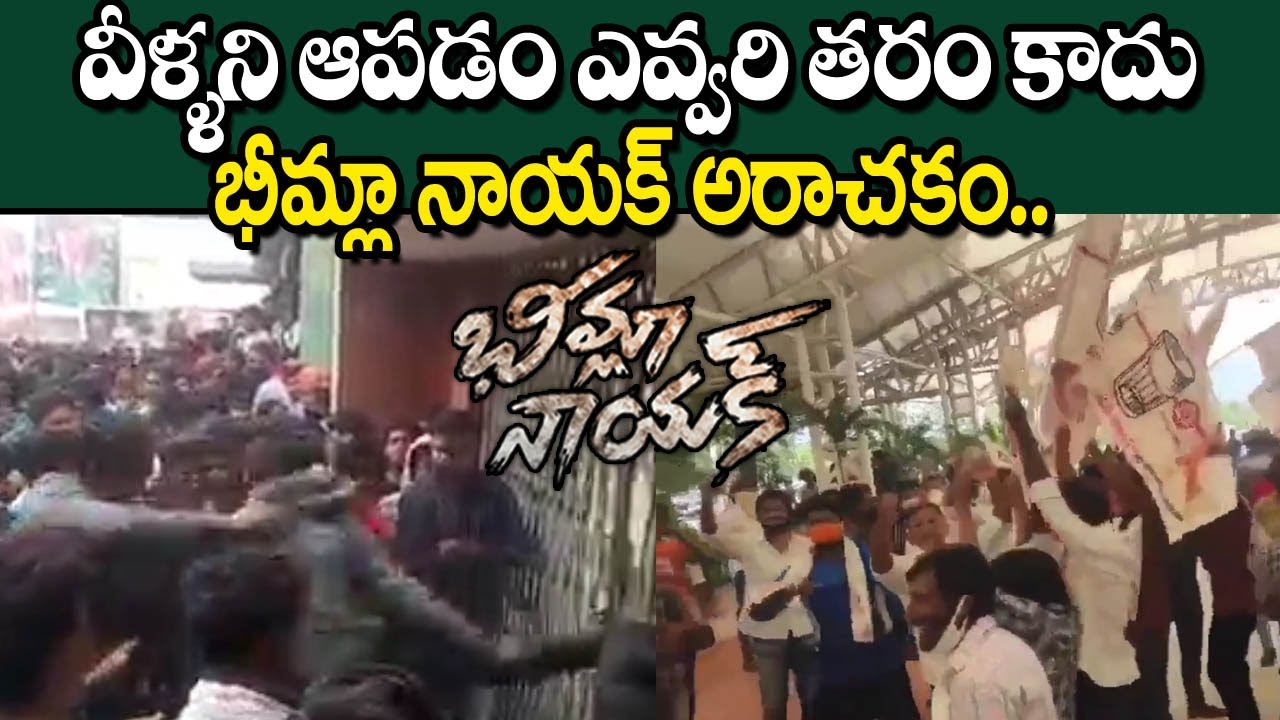 Bheemla Nayak Fans Mass Craze || Pawan Kalyan Fans Hungama at Theaters || TV 24 Studio