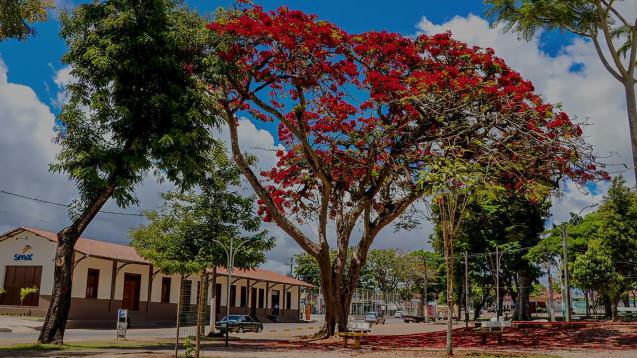 VALE DO JIQUIRIÇÁ: Uma história de amor.