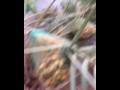 الفرات السعدون يومياتي