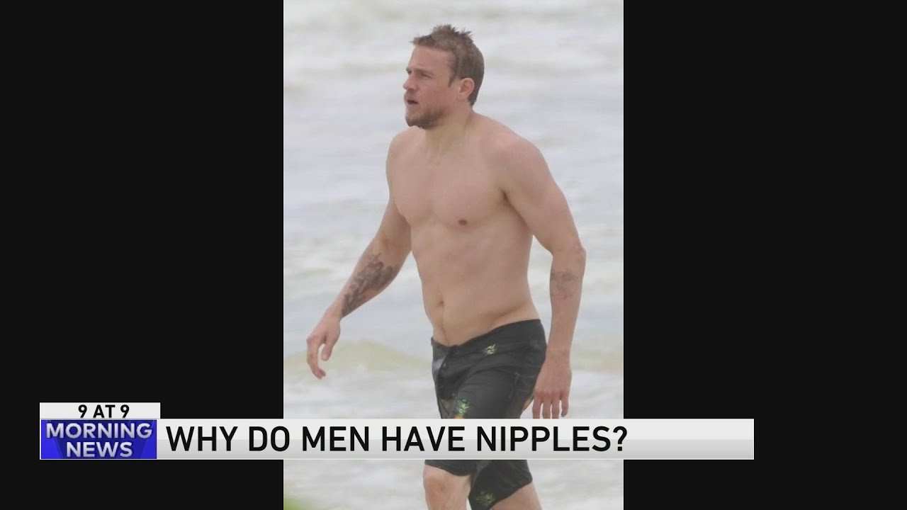 9 @ 9: Why do men have nipples? - YouTube