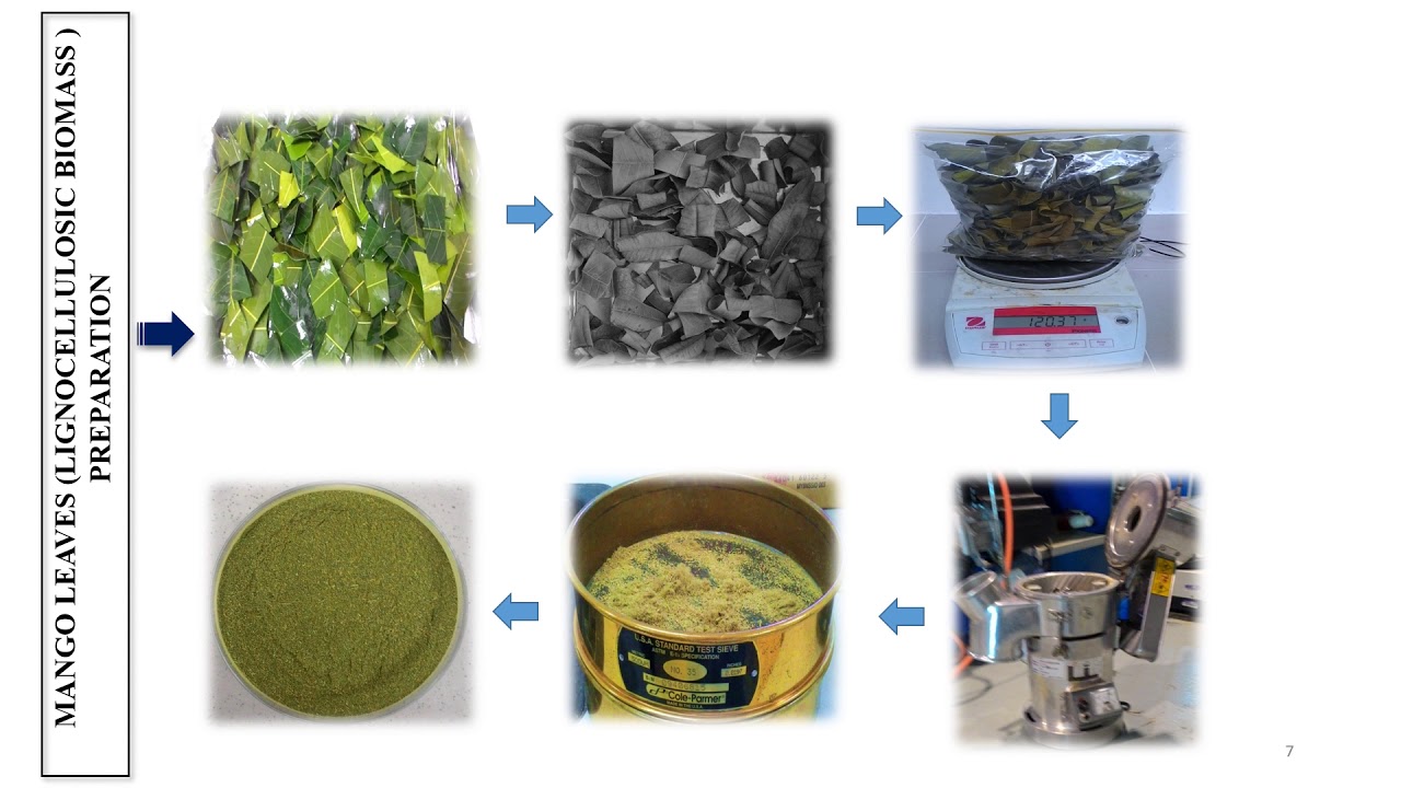 EREKA 2021_Practicability of Lignocellulosic Waste in Bioethanol Production.