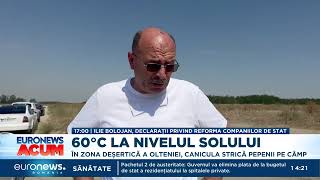 Download Lagu 60°C la nivelul solului. În zona deșertică a Olteniei, canicula strică pepenii pe câmp MP3 Download Lagu 60°C la nivelul solului. În zona deșertică a Olteniei, canicula strică pepenii pe câmp MP3