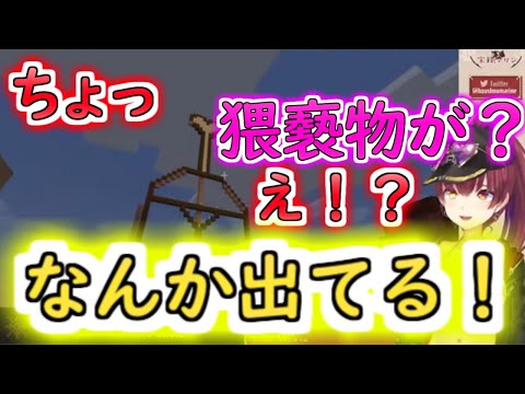【 ホロ鯖Minecraft 】桃鈴ねねのアレがどうしても卑猥なものにしか見えない宝鐘マリン【ホロライブ切り抜き】