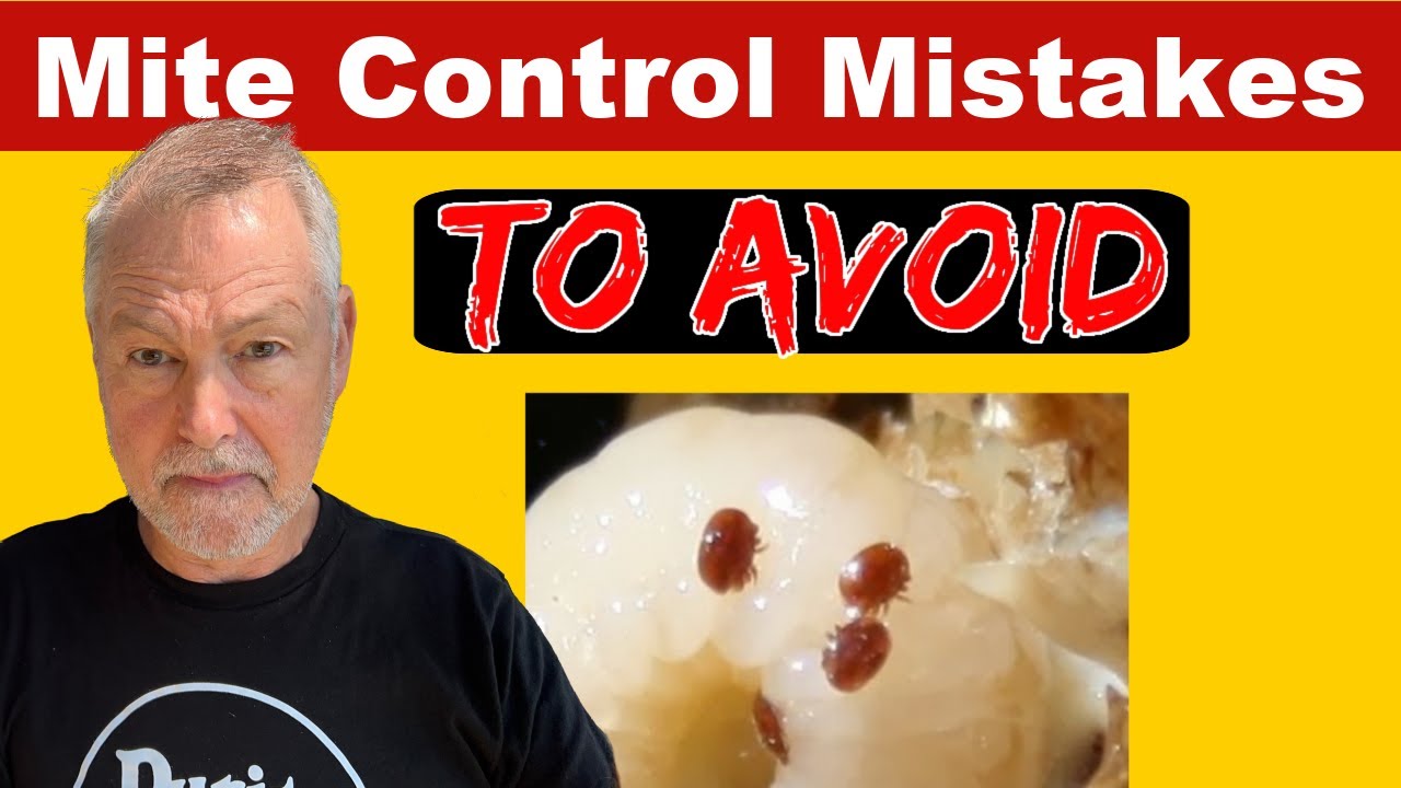 Beekeeping Mite Control Mistakes You MUST Avoid At All Cost - YouTube