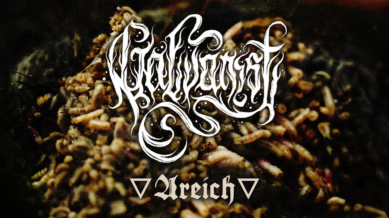 ⁣GALVANIST - DREICH taken from " The Silence Between Stars "