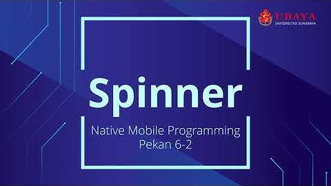 NMP 6-2: Spinner