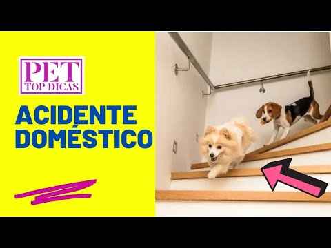 Vídeo: Os 10 Principais Objetos Estranhos Ingeridos Por Animais De Estimação 'por Acidente