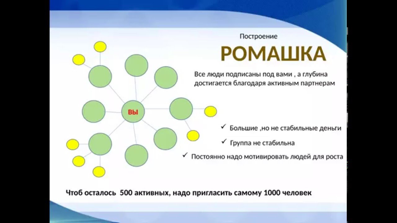 Стабильного регулярного. Построение структуры ромашкой. Сетевой маркетинг построение структуры. Построение структуры в МЛМ. Построение команды в сетевом бизнесе.