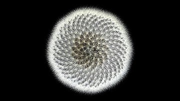 1.2 Applications and Modeling with Linear Equations