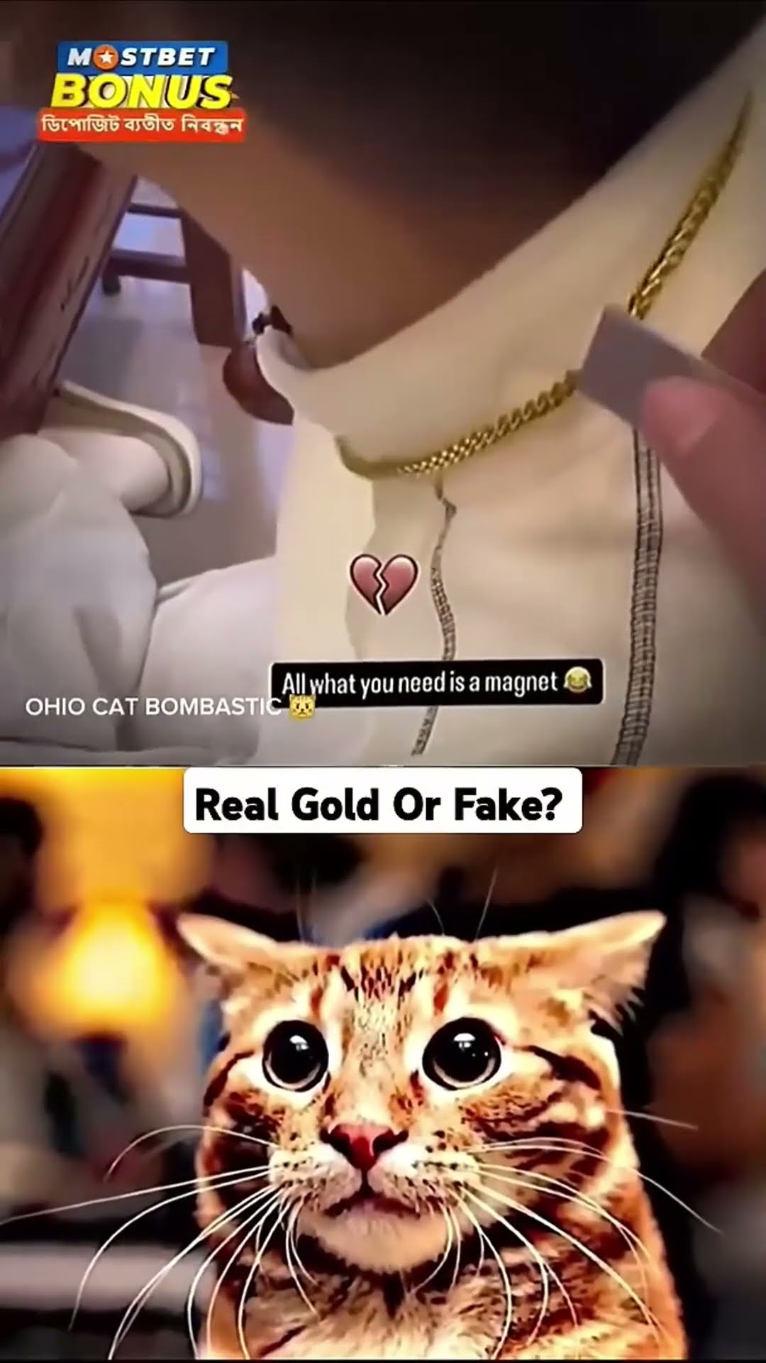 Oro VERDADERO o FALSO⁉️