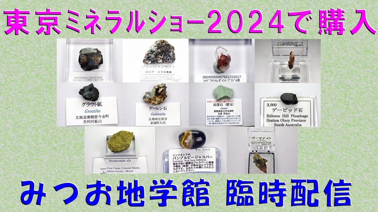 鉱物の部屋55 東京ﾐﾈﾗﾙｼｮｰ2024で購入
