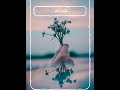 الدنيا كما تقدم لها تقدم لك كلمات مؤثره حالات واتساب مواساة حالات دينيه قصيرة عبدالله البواردي الدنيا كما تقدم لها تقدم لك كلمات مؤثره حالات واتساب مواساة حالات دينيه قصيرة عبدالله البواردي