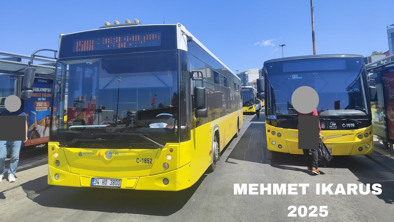 İstanbul ÖHO|C-1852|Temsa Avenue LF|Rába-MAN D2156HM6U Sesine Benzeyen Cummins ISBe