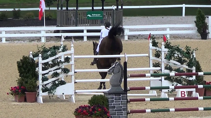 Jacqueline Steffens & Quereus van Generhese NAJYRC...