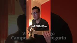 Vicente Amigo - Campos De San Gregorio Bass line #кабацкийбасист