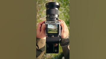 A Classic Reimagined: 202FA x CFV 100C Under the Cherry Blossoms 🌸I Hasselblad