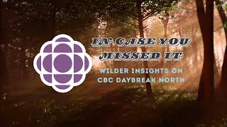 Wilder Insights with Mike Bryden on CBC Daybreak North