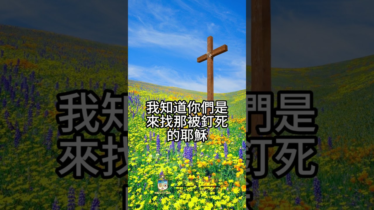 04/04   恭讀聖瑪竇福音　28:1-10   他復活了，並在你們之先，到加里肋亞去。