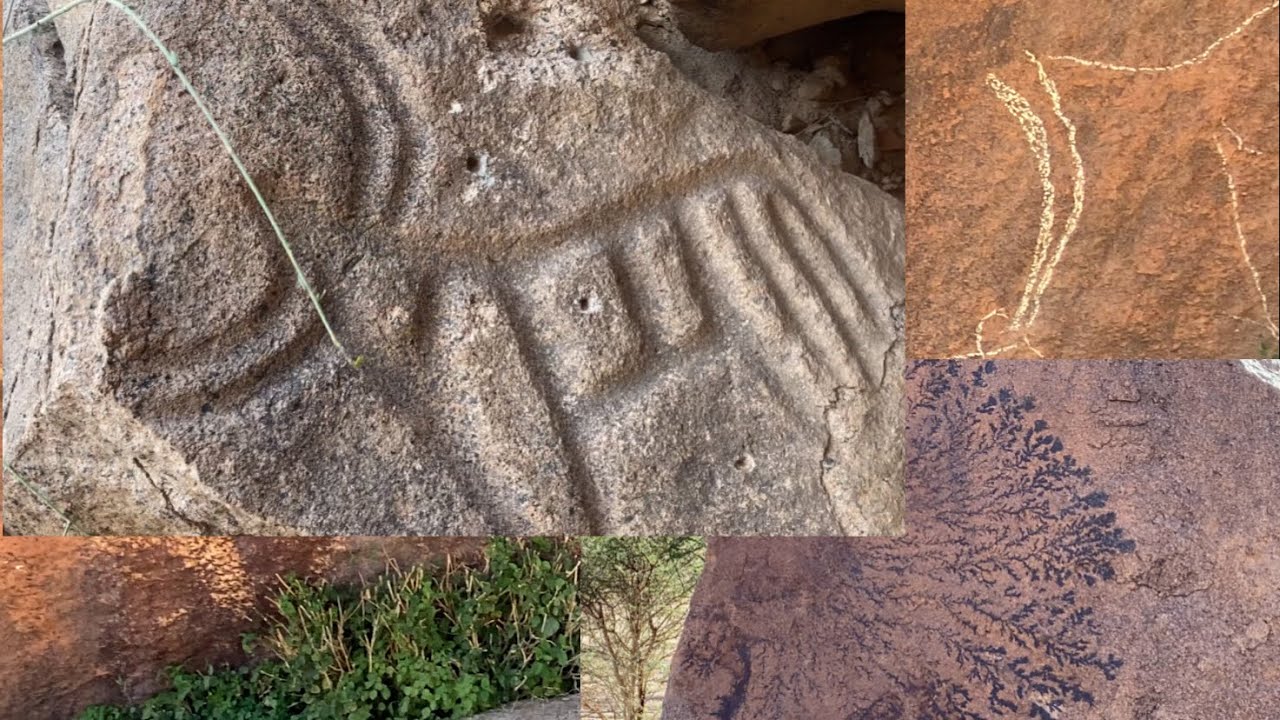 ما سر هذا الحيوان بأربعة قرون❓وكيف كان شكل الأرض في جزيرة العرب