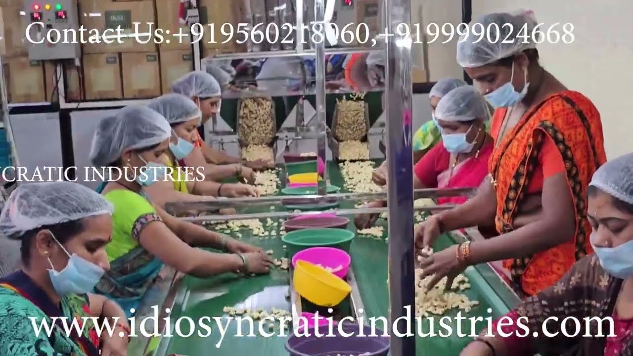 Fully Automatic Cashew  Processing Plant. BY IDIOSYNCRATIC INDUSTRIES