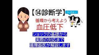 ⑭診断学～血圧低下(循環の流れを元に基礎から実際まで循環器内科医が解説します)