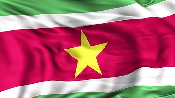 Suriname Flag Animation | 4k | Flags of the World
