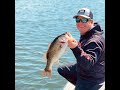 L I V E…  today at 4 PM PST   Marc Mills from Daiwa USA