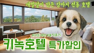[경주 키녹호텔-초특가할인] KINOCK HOTEL 내돈내산 장점과 단점 솔직후기, 강아지 전용 키녹호텔, 경주 애견동반 숙소, 펫츠고