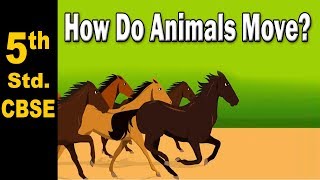 How Do Animals Move? | 5th Std | Science | CBSE Board | Home Revise