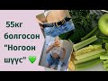 55КГ БИЕ + ”GLASS SKIN”-ТЭЙ БОЛГОХ НОГООН ШҮҮС🥒🥬🍏💚