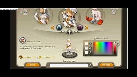 Dofus Guide How to create a caracter