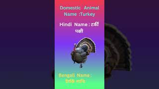 Unknown Fact Of Turkey Kids Knowledge Ray Kids