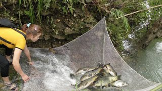 Wild Fishing - Building A Fishing Net System On A Small Tributary - Fishing Technique