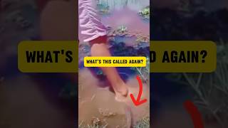 Guess He Didnt Get The Memo