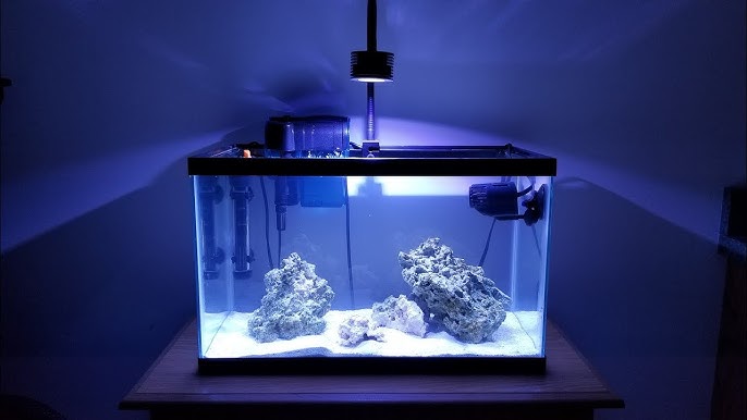 The Coralife LED 29gal Marine Kit Is A Great Way To Get Started With A  Saltwater Tank, Reef Builders