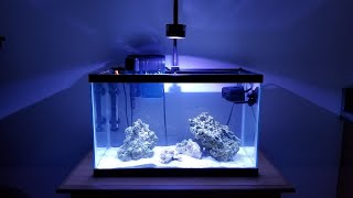 Build A 10g Nano Reef On A Budget! (2020 Edition)