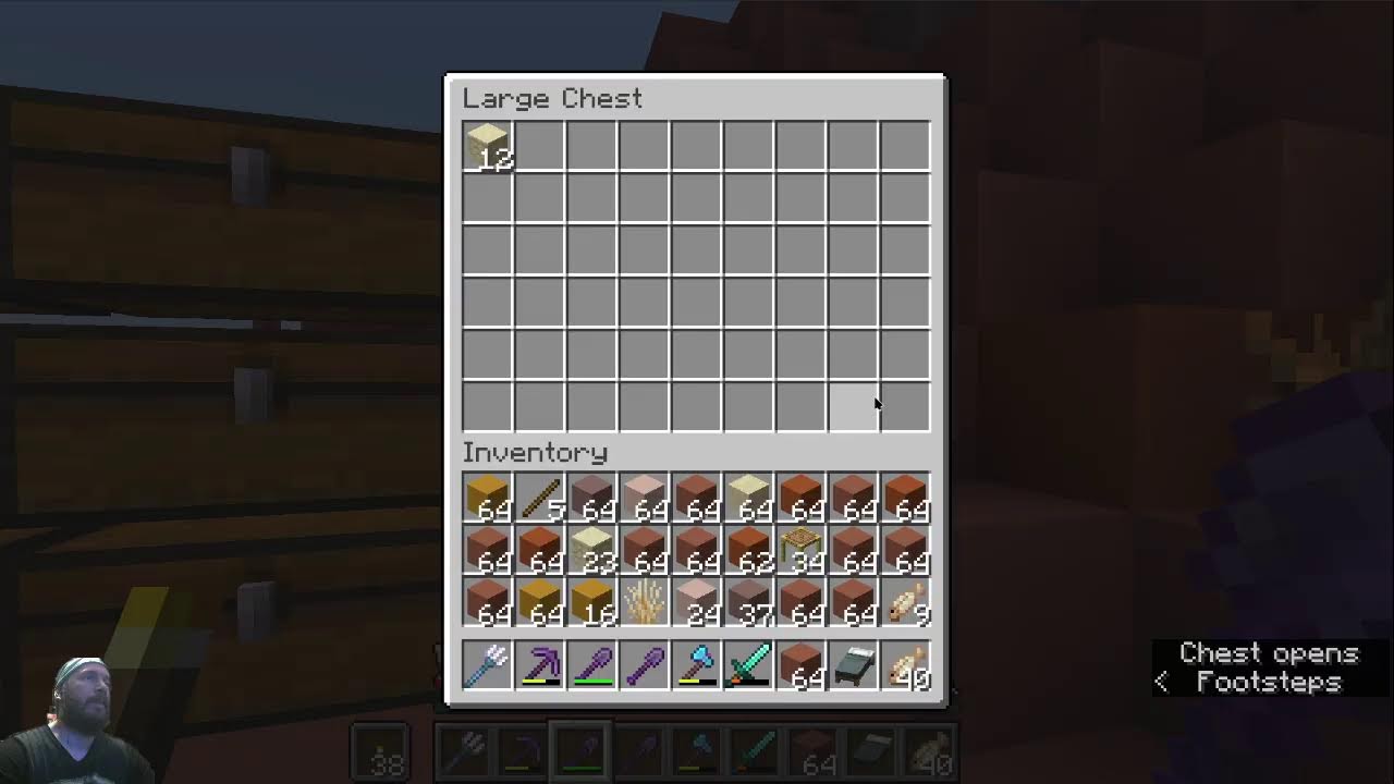 Mario Land 2 speedruns