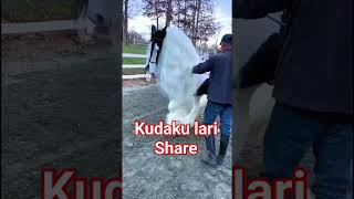 Emilia Contessa Kudaku Bukan Berlari Tapi Berjingke Sikilku Melayang shorts