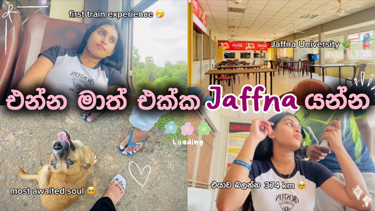 එයාව බලන්න තනියම Jaffna ගියා🥹🤧|Jaffna University🌷| ජීවිතේ මේ වගේ දවස් නම්🥺☁️🧿 #unilife #travel