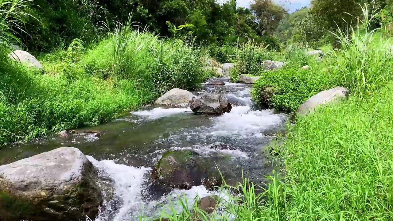 Tranquil River Flow – 10 Hours of Water ASMR  - Stress, Anxiety Relief & Meditation Sounds