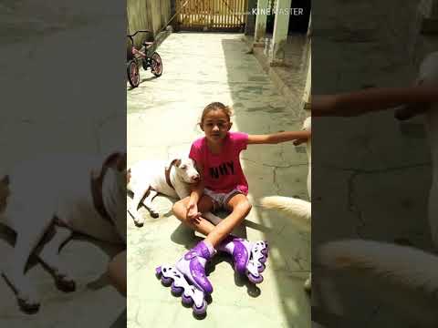 Andando de skate e patins